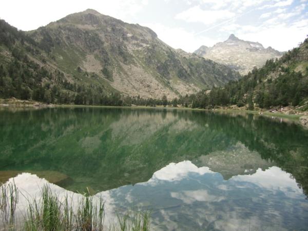 Зеркало воды