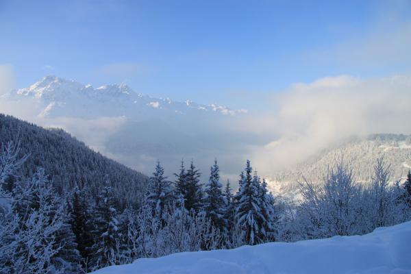 Спокойствие альп