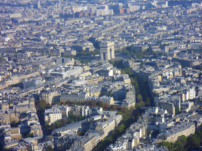 Меркулова Анна - Птицам виднее