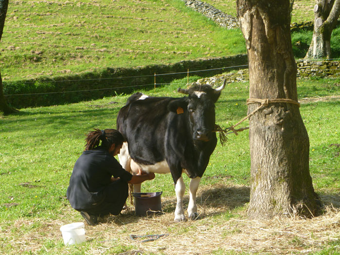 Гор Гиноян - Сельские мотивы