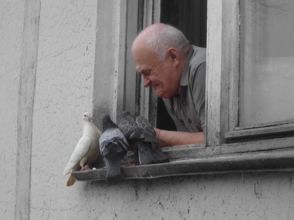 Единочество