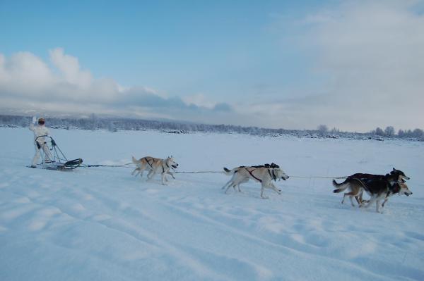 Ощущение не передать словами-Виктория Елисеева
