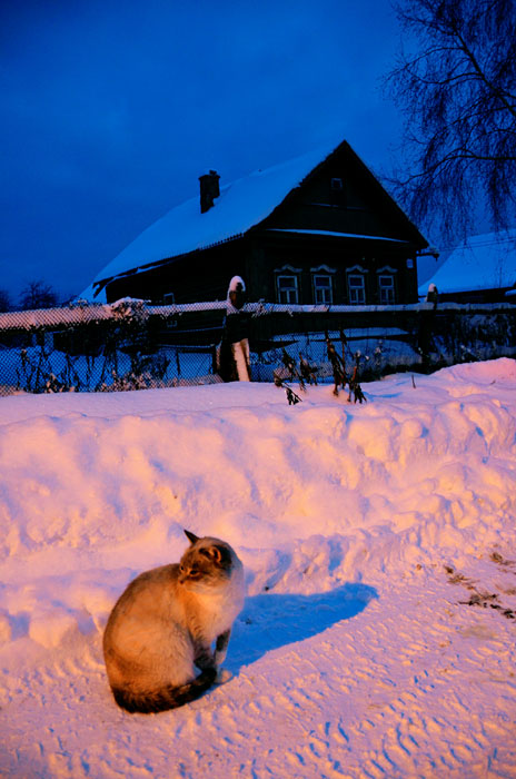 Сосед